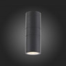 Светильник настенный ST-Luce SL074.401.02