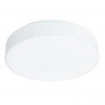 Накладной светильник ARTE Lamp A6824PL-1WH