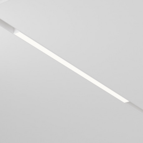 Светильник на шине Maytoni Technical TR030-2-24W4K-W