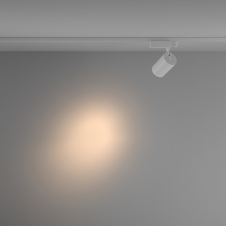 Светильник на шине Maytoni Technical TR029-3-26W3K-S-W