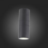 Светильник настенный ST-Luce SL074.411.02