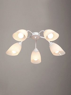 Накладная люстра Vitaluce V31950/5PL