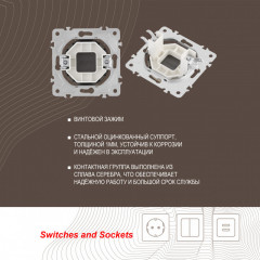 Клавиша/Накладка Arte Milano 202.50-1.shampan