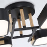 Накладная люстра Ambrella Light FL4887