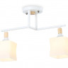 Накладной светильник Ambrella Light TR9484