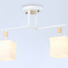 Накладной светильник Ambrella Light TR9484
