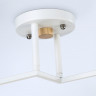 Накладной светильник Ambrella Light TR9484