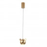Потолочный детский светильник Crystal Lux AMIGO SP LED GOLD