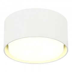 Накладной светильник ST-Luce ST164.502.01