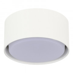 Накладной светильник ST-Luce ST164.502.01