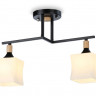 Накладной светильник Ambrella Light TR9486