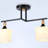Накладной светильник Ambrella Light TR9486