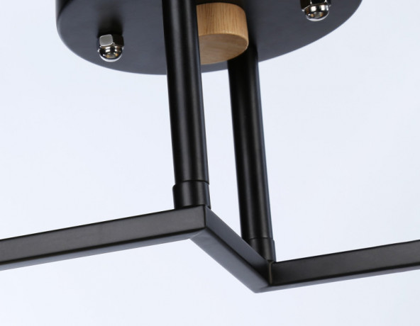 Накладной светильник Ambrella Light TR9486