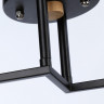 Накладной светильник Ambrella Light TR9486