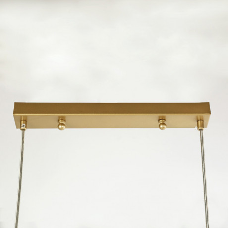 Подвесная люстра F-Promo 4043-4P