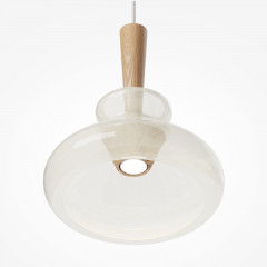 Подвесной светильник Maytoni MOD405PL-01W