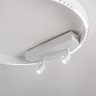 Накладной светильник Ambrella Light FL5807