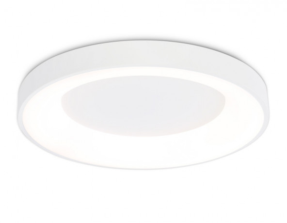 Накладной светильник Ambrella Light FZ1401