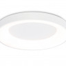 Накладной светильник Ambrella Light FZ1401