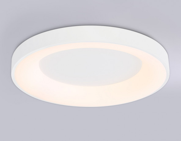 Накладной светильник Ambrella Light FZ1401