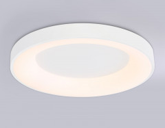 Накладной светильник Ambrella Light FZ1401