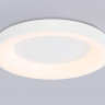 Накладной светильник Ambrella Light FZ1401