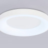Накладной светильник Ambrella Light FZ1401