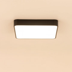 Накладной светильник Citilux CL724K70G1