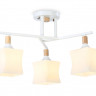 Накладной светильник Ambrella Light TR9488