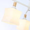 Накладной светильник Ambrella Light TR9488