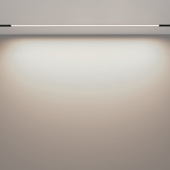 Светильник на шине Maytoni Technical TR030-2-30W4K-B