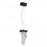 Подвесной светильник Odeon Light 5438/12L