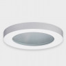 Влагозащищенный светильник ITALLINE DL-2633 white