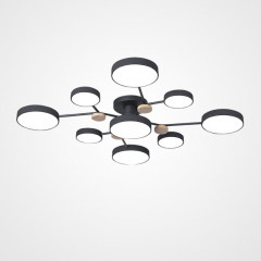 Накладная люстра ImperiumLoft 223769-23