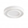 Накладной светильник Ambrella Light FL5821