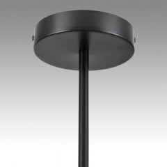 Люстра на штанге LUMION 8117/18