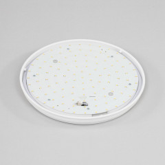 Накладной уличный светильник Citilux CL702161N