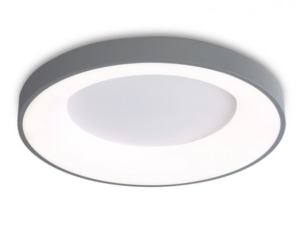 Накладной светильник Ambrella Light FZ1402