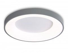 Накладной светильник Ambrella Light FZ1402