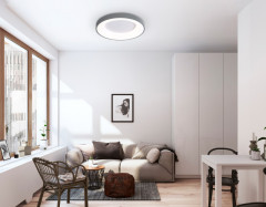 Накладной светильник Ambrella Light FZ1402