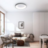 Накладной светильник Ambrella Light FZ1402