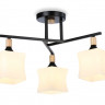 Накладной светильник Ambrella Light TR9493