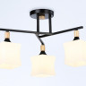 Накладной светильник Ambrella Light TR9493