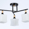 Накладной светильник Ambrella Light TR9493