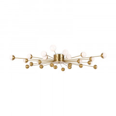 Накладная люстра Freya FR5242CL-24BS