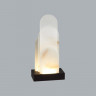 Настольная лампа Odeon Light 5438/12TL