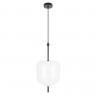 Подвесной светильник LOFT IT 10223/D White