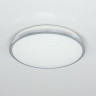 Накладной уличный светильник Citilux CL702221N