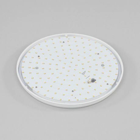 Накладной уличный светильник Citilux CL702221N