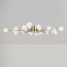 Накладная люстра Freya FR5242CL-24BS1